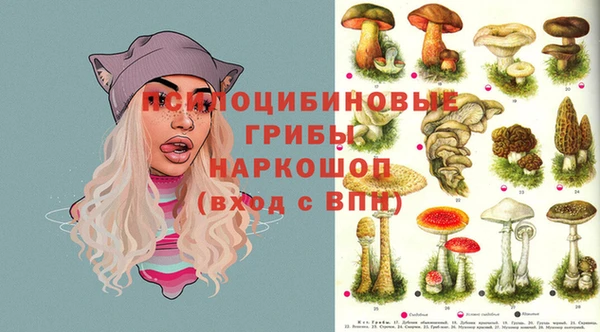 шишки Богданович